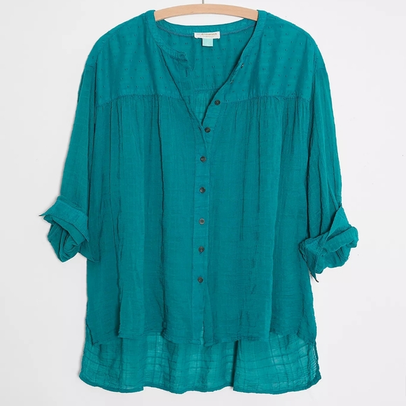 🆕 NWT Anthropologie Pilcro Mila Draped But - Picture 5 of 8